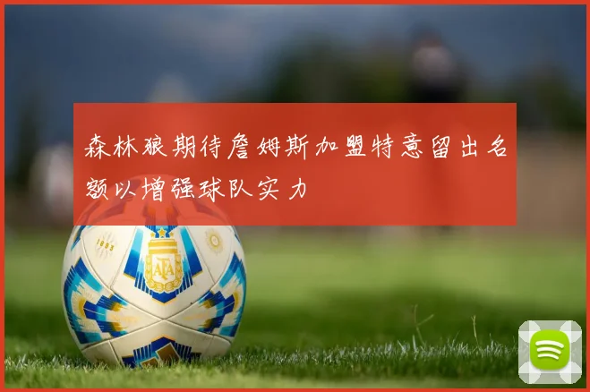 森林狼期待詹姆斯加盟特意留出名额以增强球队实力